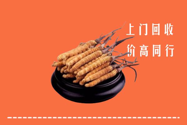 高价求购：枣庄回收散虫草