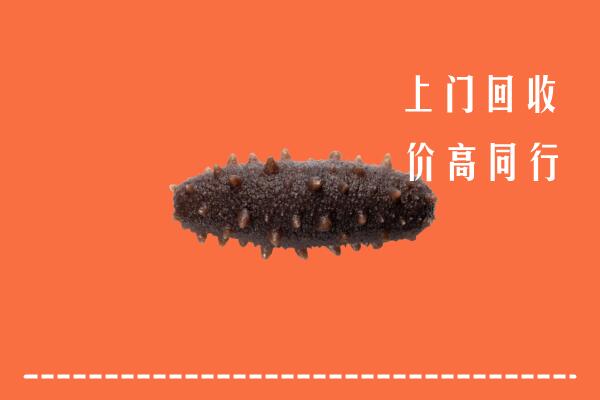高价求购：枣庄回收海参