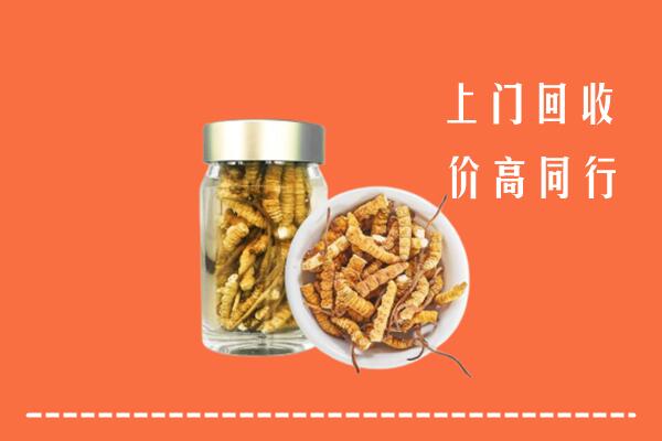 枣庄回收冬虫夏草