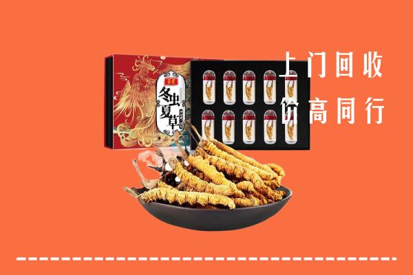 枣庄回收虫草